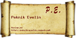 Peknik Evelin névjegykártya